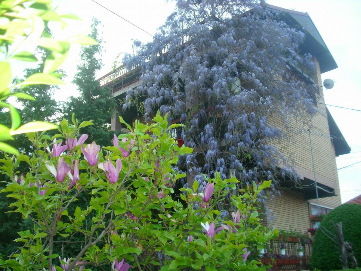 וראנג'ה Apartman Wisteria מראה חיצוני תמונה